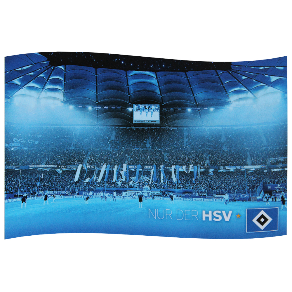 HSV Fahne Nur der  HSV